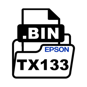 Arquivo .BIN (bios) Epson TX133 Original
